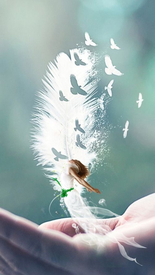 soins energetiques vannes plume soins energetiques vannes plume